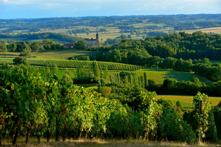 Coteaux Béarn Madiran pour hors piste magazine