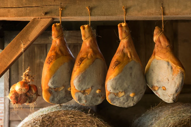Jambon de Bayonne Coteaux Béarn Madiran