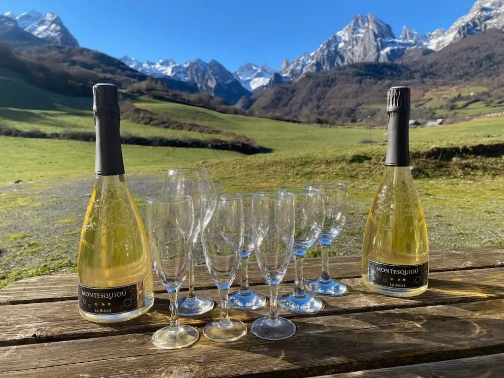 vin du domaine montesquiou à Monein - Béarn pour hors piste magazine