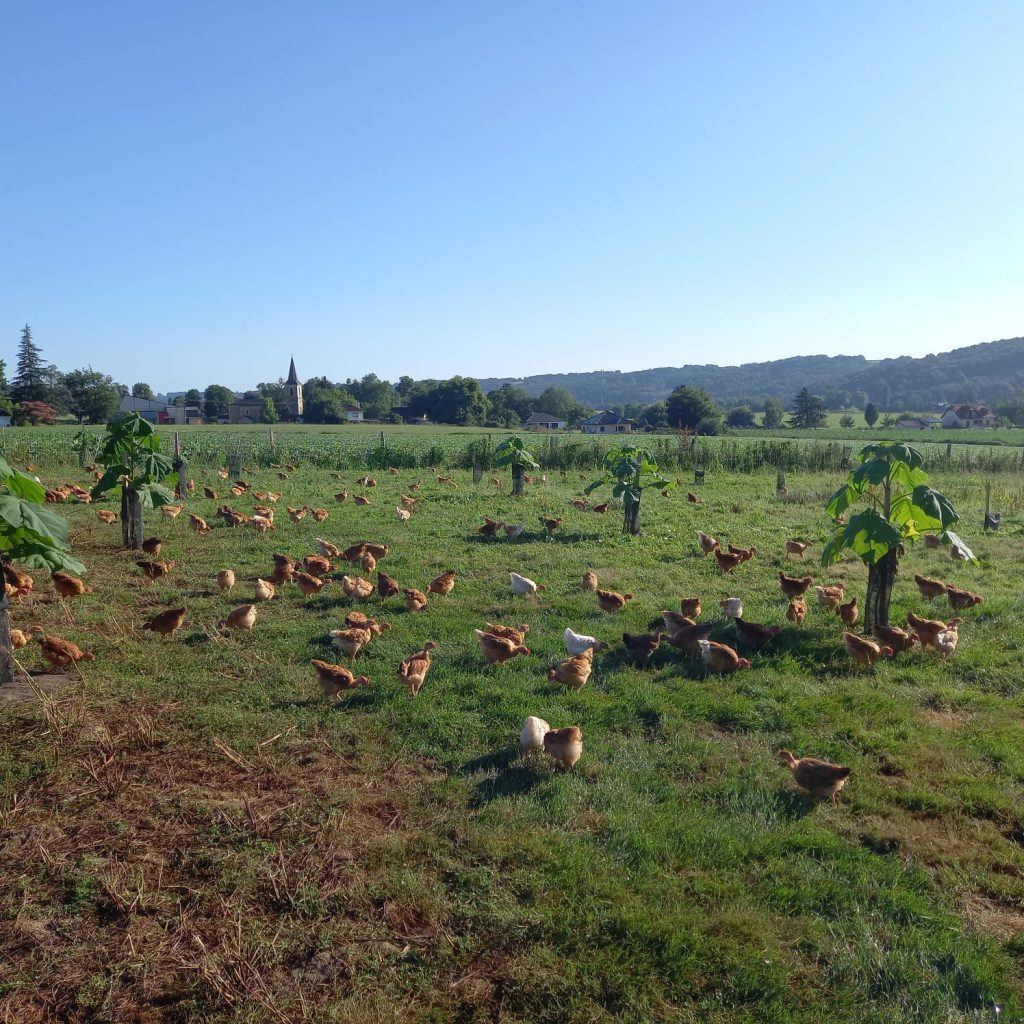 La Ferme Capdevielle 